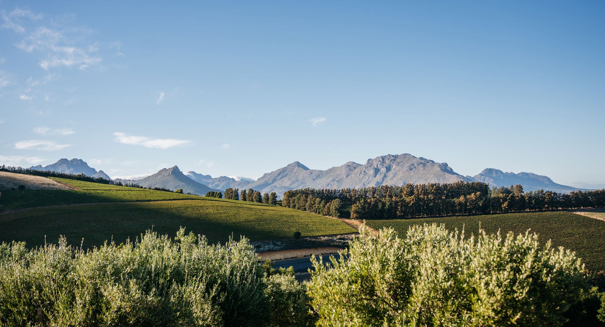 Knorhoek Wine Farm