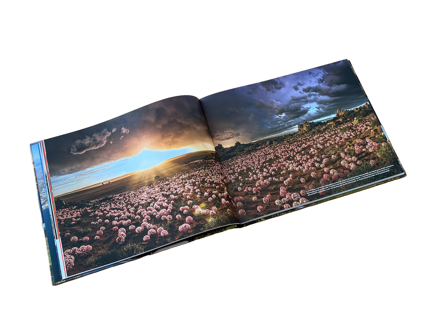 Kaapstadt | Cape Town "City of Contrasts" Coffee Table Book